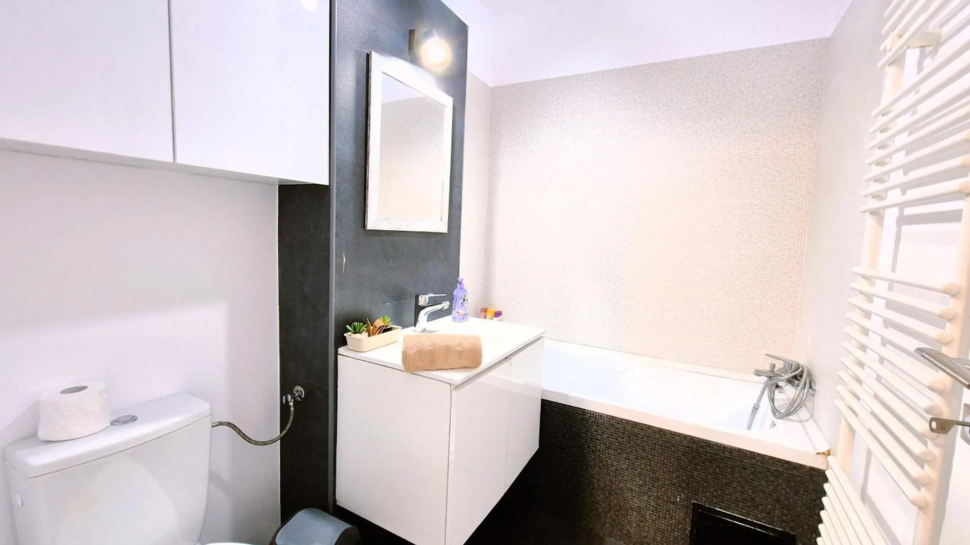Chique Studio Near Mall Plaza Bucharest Romania